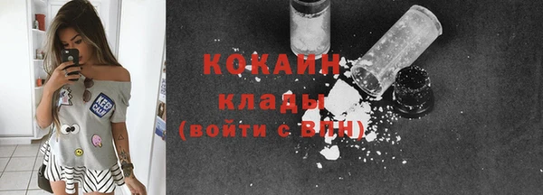 тгк Дмитриев
