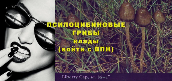 герыч Дмитровск