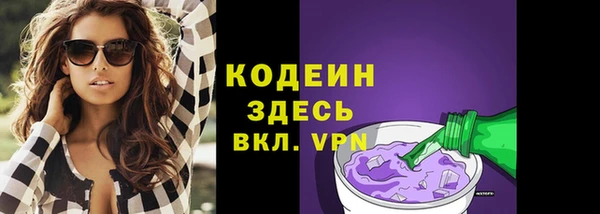 тгк Дмитриев