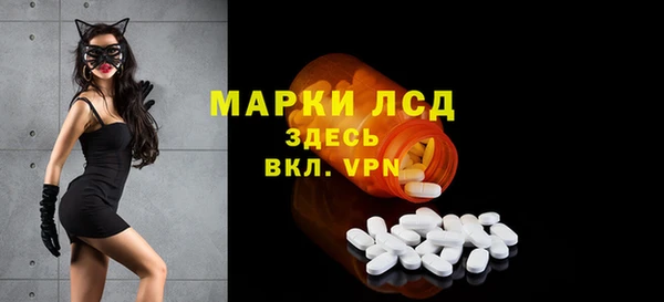 тгк Дмитриев
