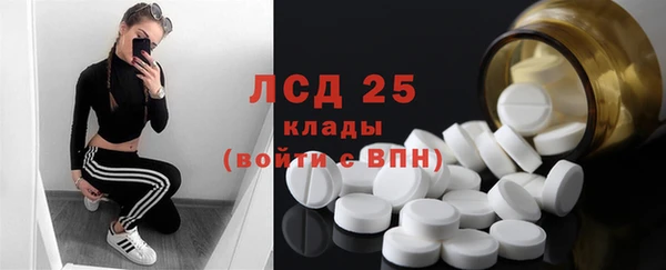 тгк Дмитриев