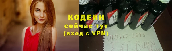 тгк Дмитриев