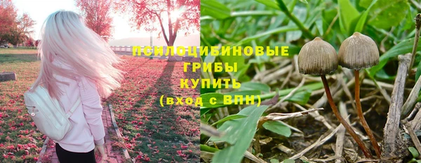 тгк Дмитриев
