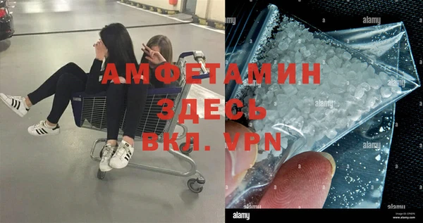 тгк Дмитриев