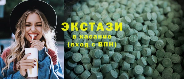 тгк Дмитриев