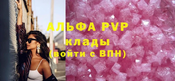 тгк Дмитриев