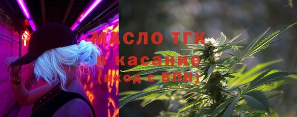 тгк Дмитриев