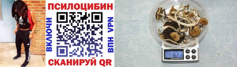 Псилоцибиновые грибы мухоморы Зеленокумск